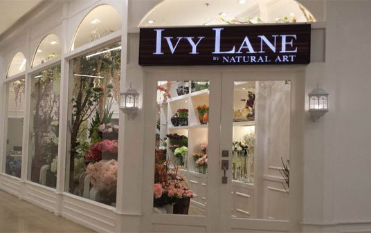Palmeco Client Ivy Lane